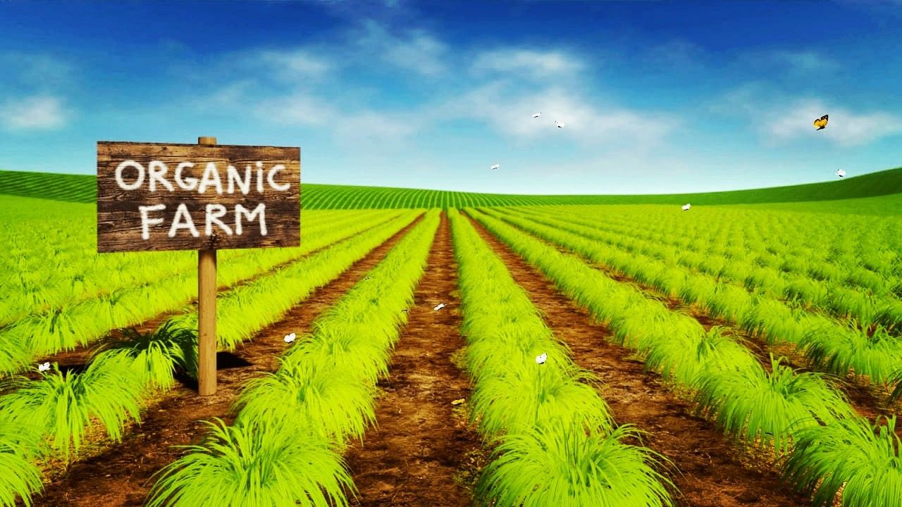 органические продукты экспорт